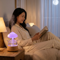 Rain Cloud Sleep Humidifier — image 6