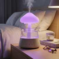 Rain Cloud Sleep Humidifier — image 4