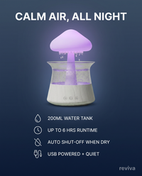 Rain Cloud Sleep Humidifier — image 5